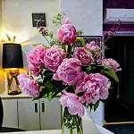 Arverna - Clt'hotel 3*