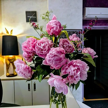 Hotel Arverna Vichy - Clt'Hotel 3*