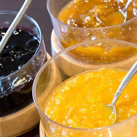 Hotel Arverna Vichy - Clt'Hotel Vichy