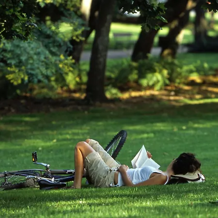 Hotel Hotel Arverna Vichy - Clt'Hotel Vichy