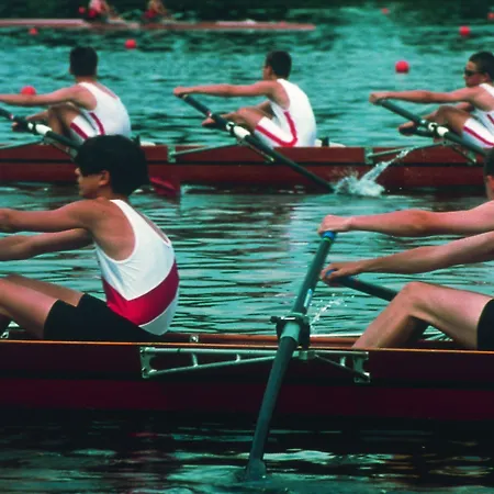 Hotel Arverna - Clt'hotel